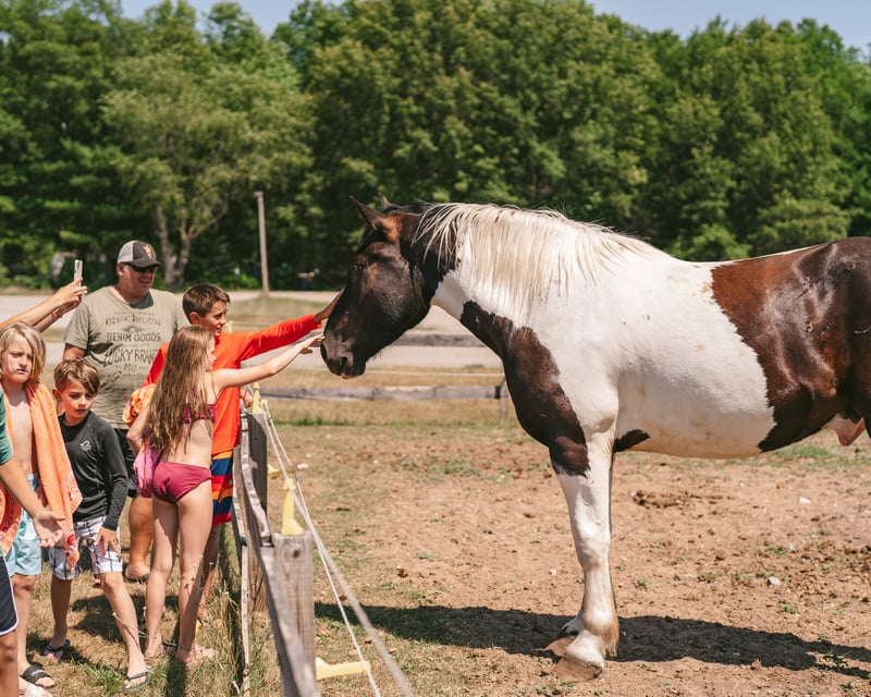 Private Horseback Riding Lessons in Rothbury