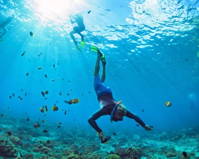 Private Lana'i Snorkel Cruise Charter