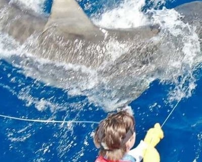 Private Shark Fishing Charter in Panama City Beach