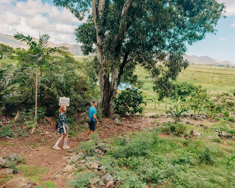 Kailua Volunteer E-Bike Guided Tour