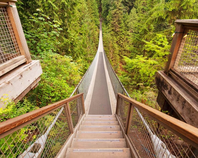 Capilano Suspension Bridge, Cliffwalk & Treetops Ticket