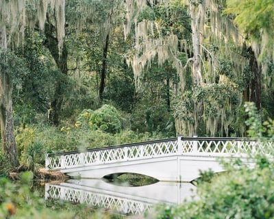 Magnolia Plantation & Gardens Charleston Tour