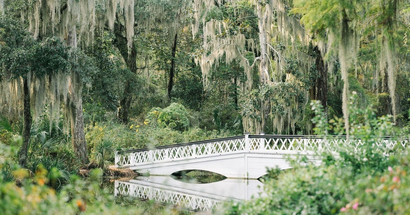 Magnolia Plantation & Gardens Charleston Tour