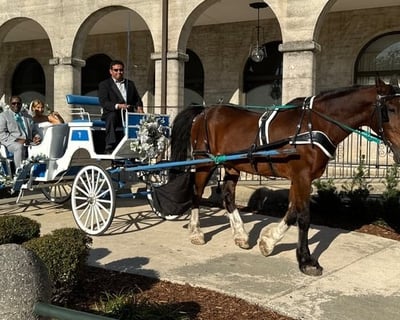 Classic Horse-Drawn Carriage Tour