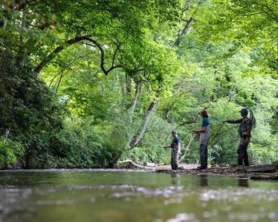 Guided Full-Day Wade Fly Fishing Trip in Rosman