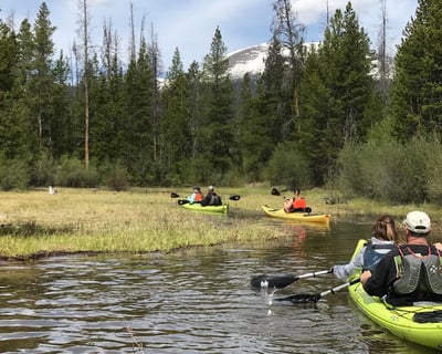 Frisco Bay Kayaking Tour with Wildlife Spotting