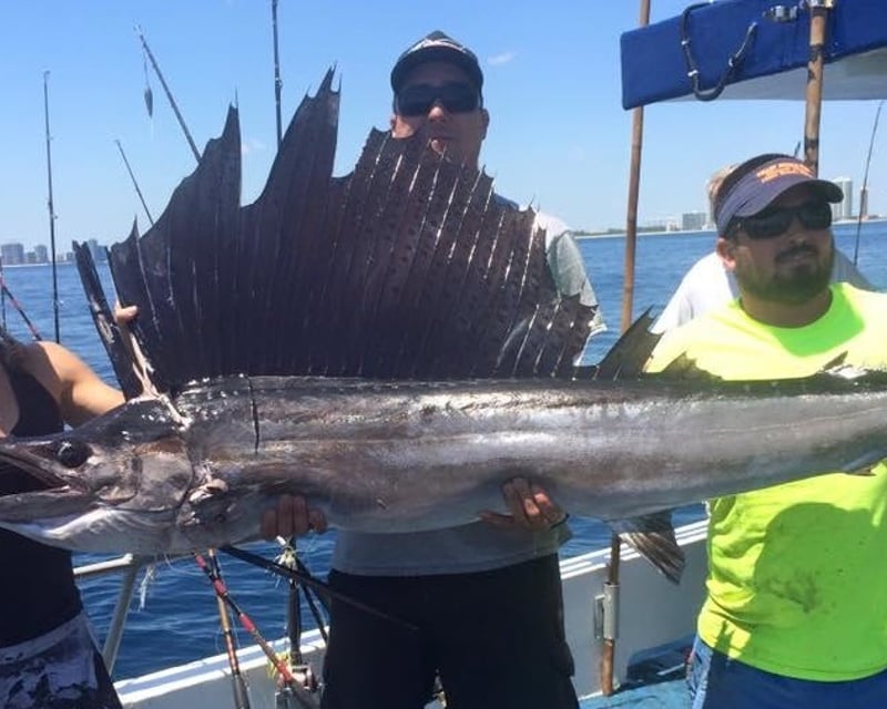 Full-Day Deep Sea Fishing Trip in Miami Beach