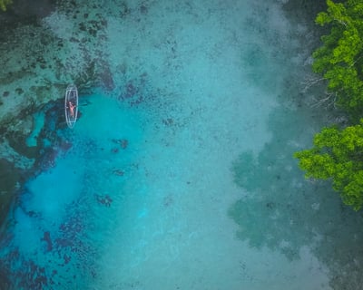 Guided Clear Kayak Tour in Fort White