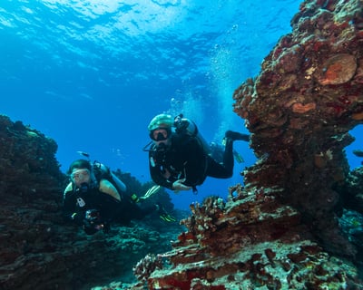 Honolulu Shallow Reef Diving & Snorkeling