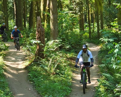 Half-Day Mountain Bike Tour From Seattle
