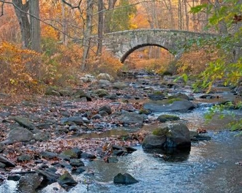 Guided Hiking Day Trip from NYC with Round-Trip Bus