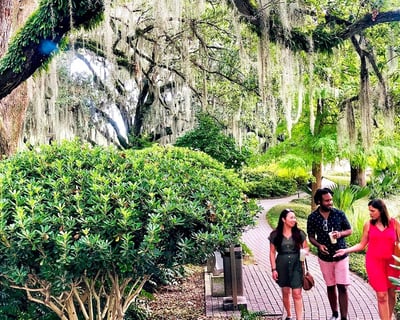 New Orleans Mardi Gras City & Cemetery Tour