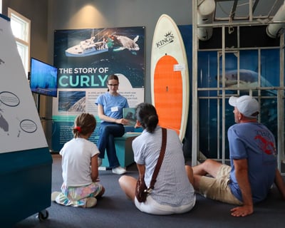 Shark Story Time at Shark Center Chatham