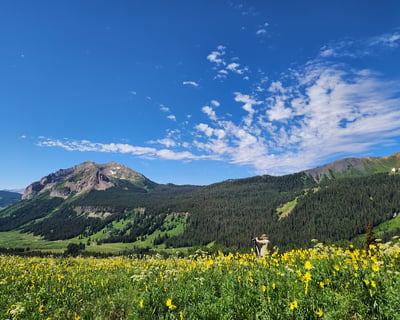 Gunnison Photography Jeep Tour
