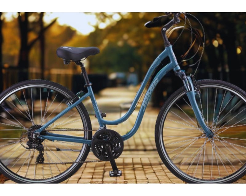 4-Day Single or Tandem Bike Rental in Petoskey