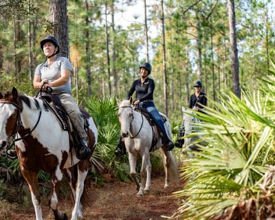 2-Hour Guided Horseback Ride in Goethe State Forest