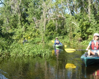 Guided Kayak Tour on the Wekiva River