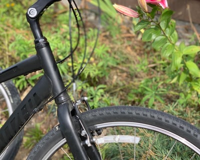 Full-Day Bike Rental in Winter Harbor