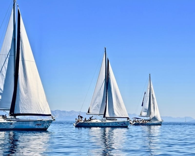 Hands-On Beginner Sailing Lesson in Alexandria