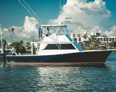 8-Hour Fishing Charter in Clearwater Beach