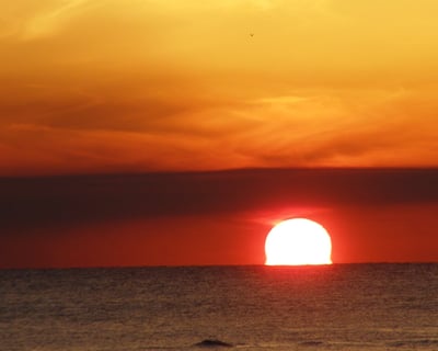 Dolphin & Sunset Cruise in Navarre Beach
