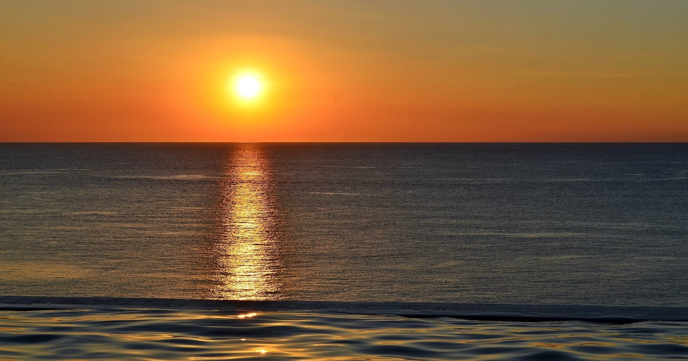 Manatee & Dolphin 10,000 Islands Sunset Cruise