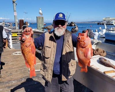 Deep Sea Rock Cod & Ling Cod Fishing in Monterey
