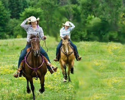 Ride an Advanced Guided Horse Trail in Mauston