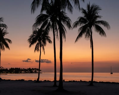 Sandbar & Sunset Cruise in Key West