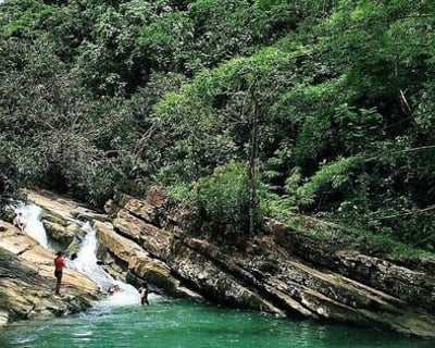 El Yunque Rainforest & Beach Guided Tour