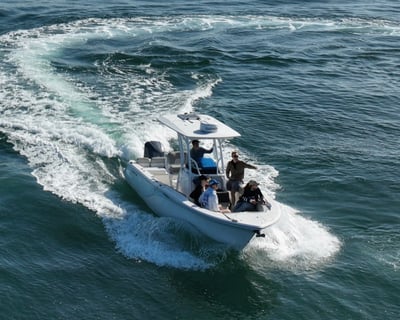 San Diego Summer Whale & Dolphin Watching Cruise