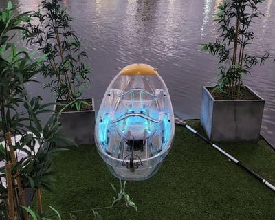 Condado Lagoon Clear Kayak Wildlife Tour