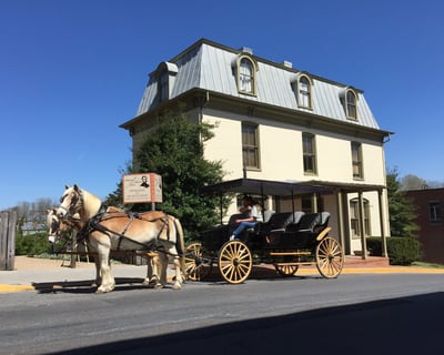 Lexington Horse-Drawn Historical Tour