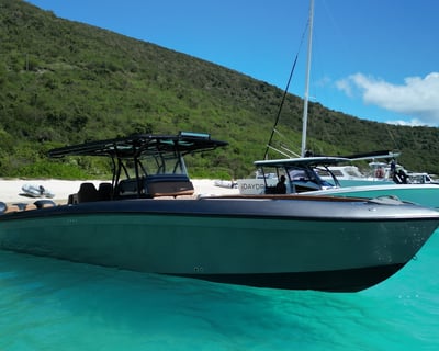 Full-Day British Virgin Islands Boat Charter
