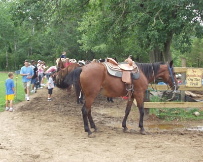 Guided Horseback Trail Ride