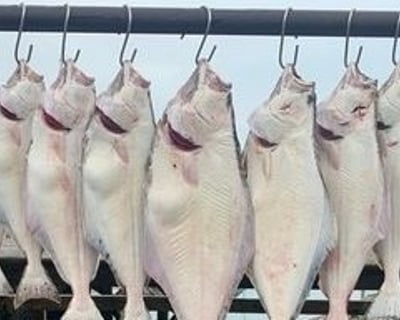Full-Day Fishing Charter in Seward