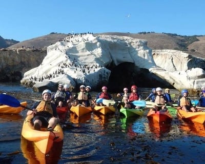 Paddle a 2-Hour Shell Beach Sea Caves Kayak Tour