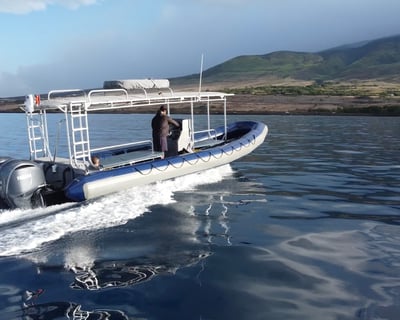 2-Hour Whale Watching Tour From Ka'anapali Beach