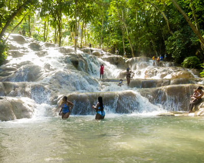 Private Dunn's River Falls Tour From Ocho Rios