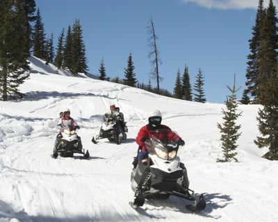 3-Hour Snowmobile Tour in the San Juan Mountains