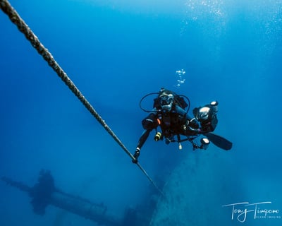 4-Hour Morning Scuba Diving & Snorkeling Trip