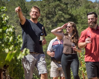 Healdsburg Estate Vineyard Tour & Wine Tasting