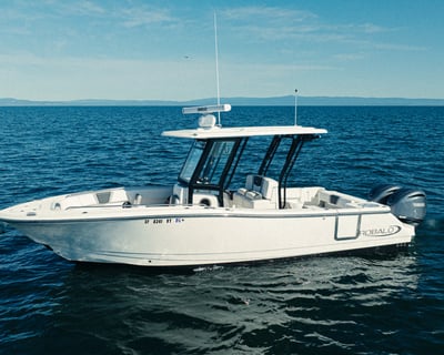 Private Whale Watching Charter on Monterey Bay