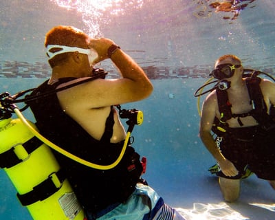 2-Hour Scuba Refresher Pool Session