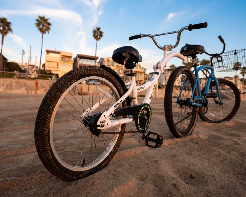 20-Inch Kids Tagalong Bike Rental in Marina del Rey