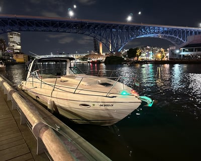 33' Yacht Charter in Cleveland