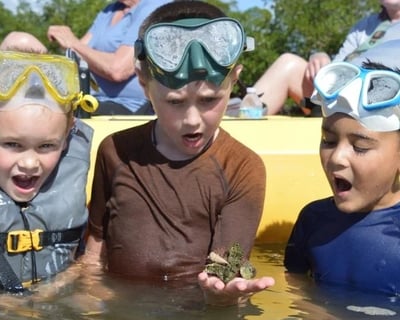 Marco Island Pedal Kayak & Mangrove Eco Tour