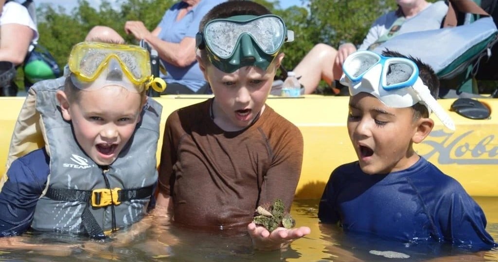 Marco Island Pedal Kayak & Mangrove Eco Tour