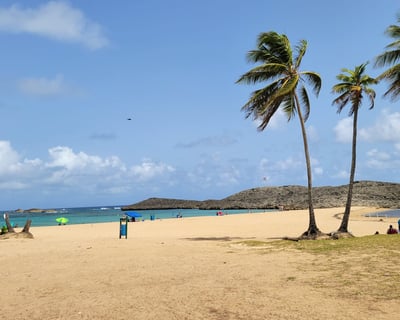 Puerto Rico 5-Beach Tour