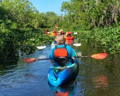 Guided 1.5-Hour Kayak Tour at Blue Spring State Park